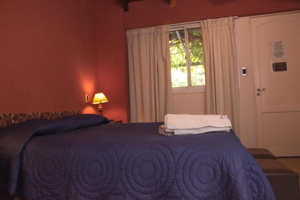 Alamo Hostel&suites